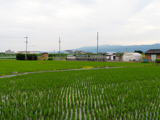 お問い合わせ・相談窓口